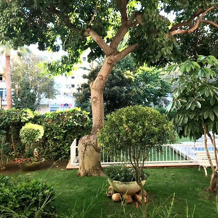 Apartamento Euromar 2 Playa Fontanilla ماربيا المظهر الخارجي الصورة